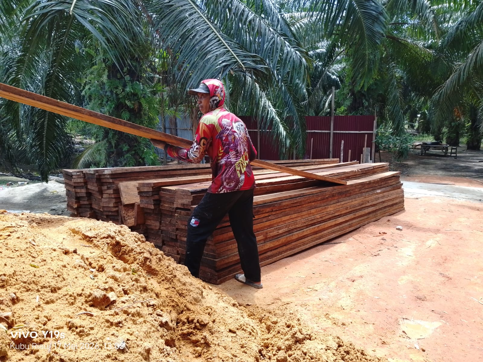 Tumpukan Kayu Olahan Diduga Hasil Penebangan Liar Ditemukan di Sungai Daun, Rokan Hilir: Terlibat Oknum TNI, Polri Dan Wartawan?